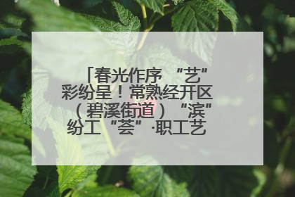 春光作序 “艺”彩纷呈！常熟经开区（碧溪街道）“滨”纷工“荟”·职工艺课堂点亮春日时光